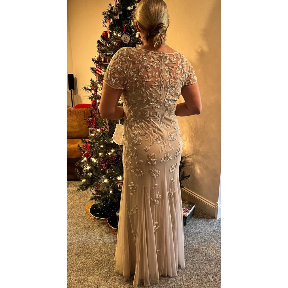 Blush Gown Adrianna Papell - Mother of the Bride dress